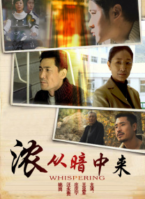 杭州华新电力线缆有限公司
